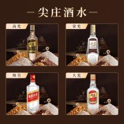 百元内浓香型白酒选型指南（2026）